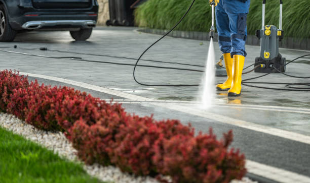 Best Pool Deck Cleaning  in Weston, OH